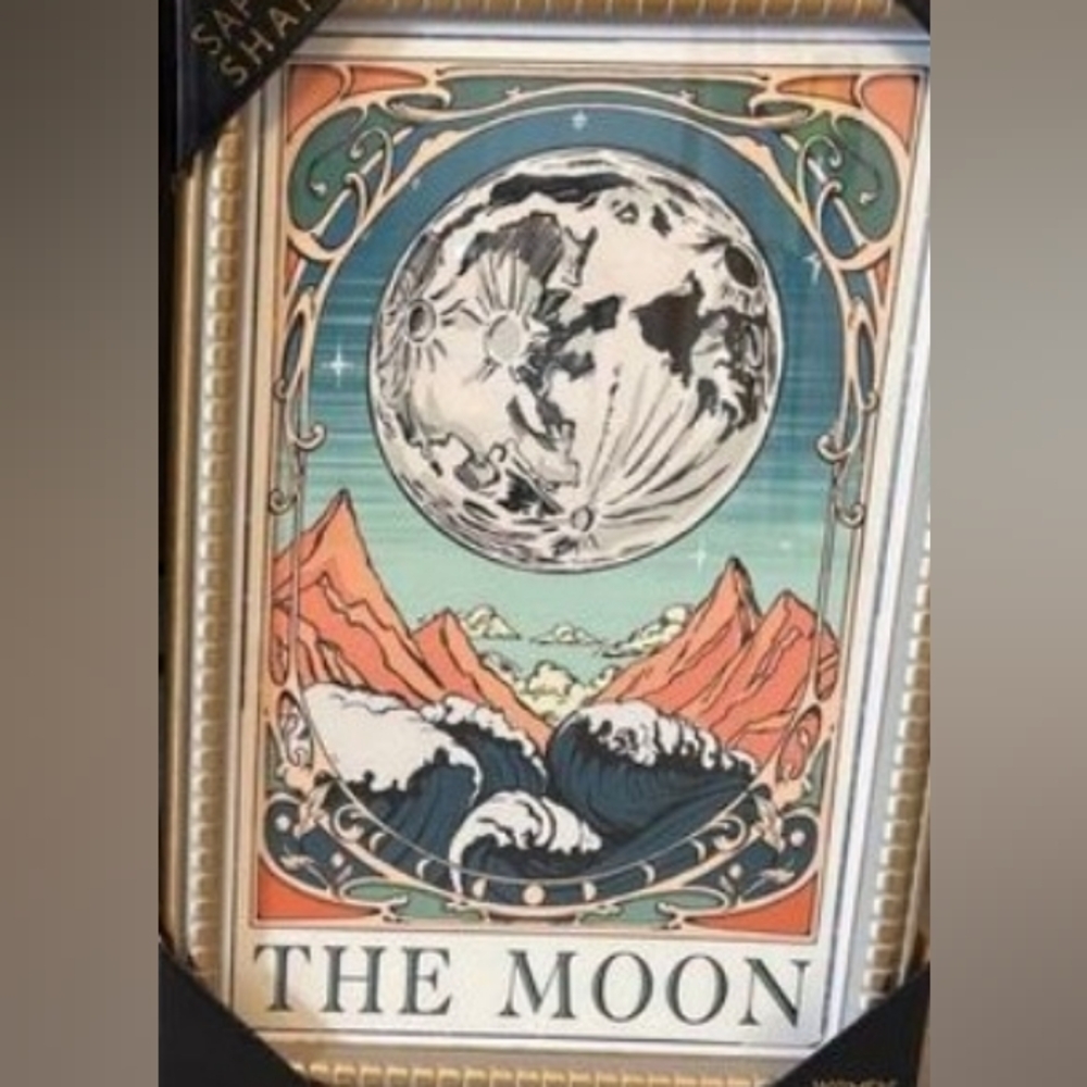 New Sapna Shah Framed The Moon 18”x 12” Wall Art Decor